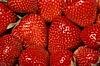 Erdbeeren
