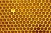 Bienenwaben