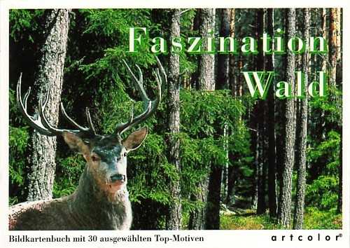 Postkartenbuch Faszination Wald